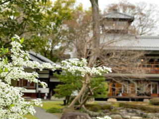 【歴史邸宅特別体験】京都・旧三井家下鴨別邸の春ブランチ＆望楼見学