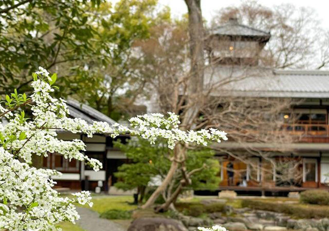 【歴史邸宅特別体験】京都・旧三井家下鴨別邸の春ブランチ＆望楼見学