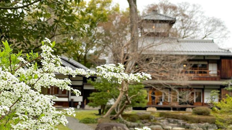 【歴史邸宅特別体験】京都・旧三井家下鴨別邸の春ブランチ＆望楼見学
