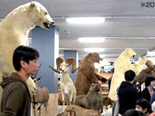 研究・収蔵施設の裏側公開！「科博オープンラボ2026」で研究現場を体験