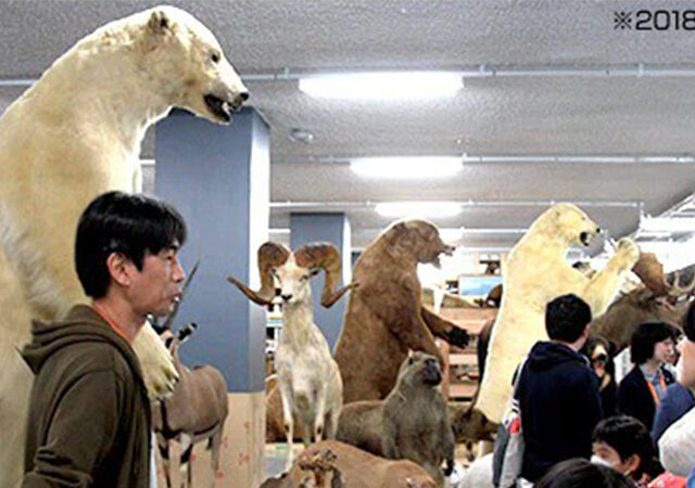 研究・収蔵施設の裏側公開！「科博オープンラボ2026」で研究現場を体験