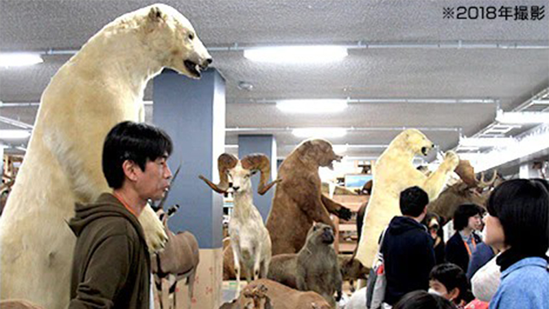 研究・収蔵施設の裏側公開!「科博オープンラボ2026」で研究現場を体験