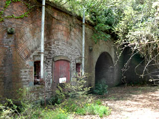 友ヶ島で自然と歴史を歩く冒険ツアー