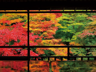 京都・八瀬の名刹「瑠璃光院」2026春の特別拝観（新緑の庭園と建築見学）