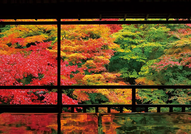 京都・八瀬の名刹「瑠璃光院」2026春の特別拝観（新緑の庭園と建築見学）